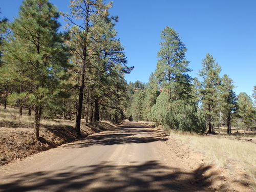 GDMBR: We're climbing to our crossing of the Continental Divide.